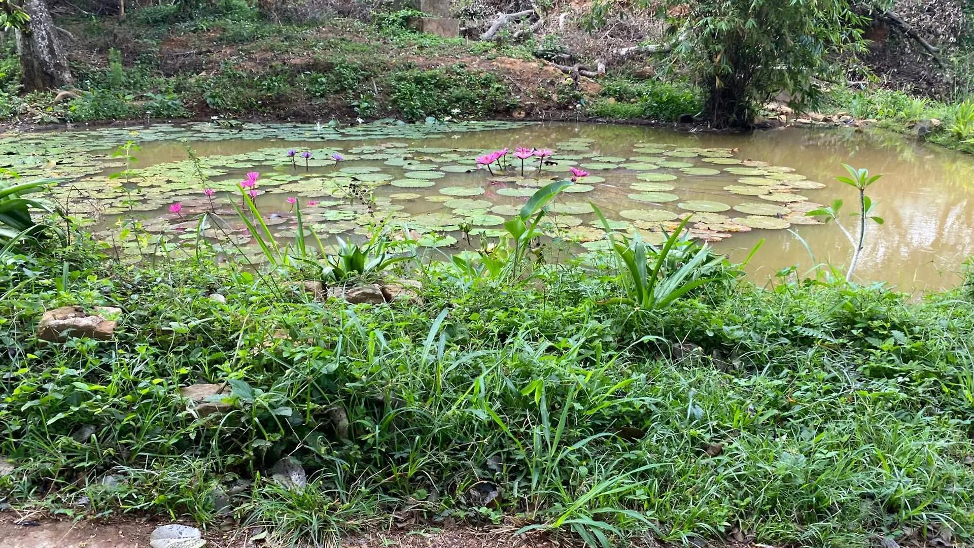 Hanthana Cliffside Apartment Kandy