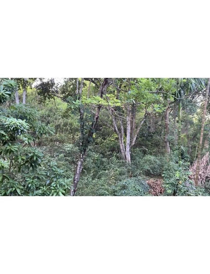 Hanthana Cliffside Apartment Kandy
